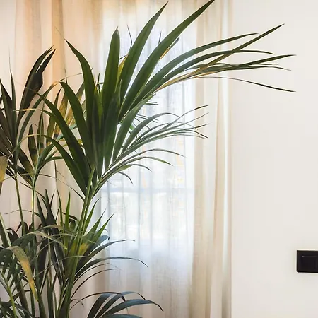 Senorio Giraldo 14 Seaside Mountain Sunset Pools Marbella